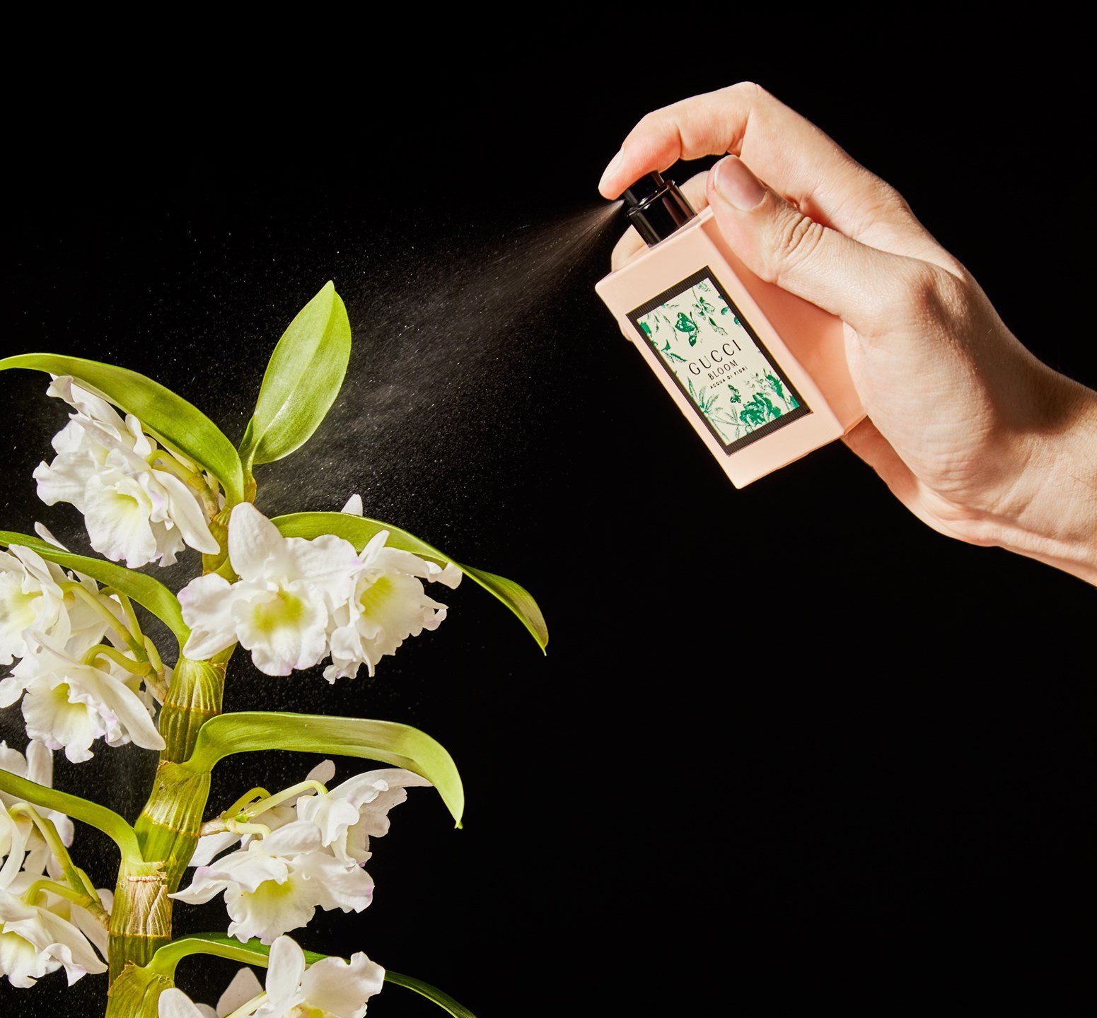 Nước hoa Gucci Bloom Acqua di Fiori Nước hoa Gucci Bloom Acqua di Fiori
